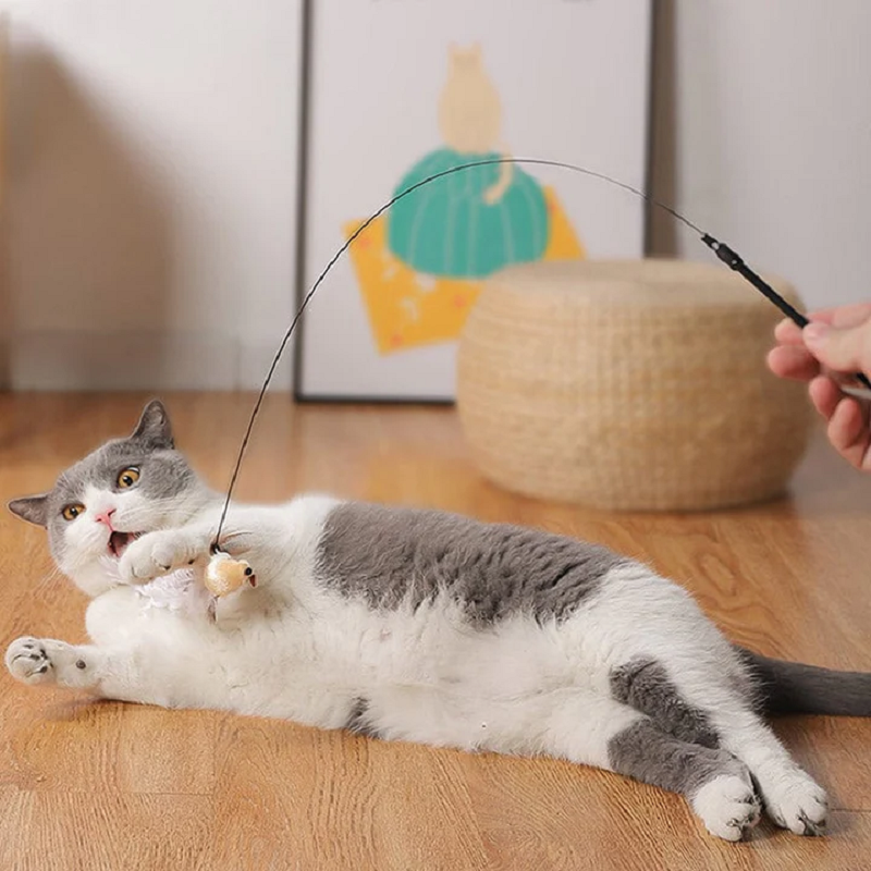 PawTease™ | Killingelegetøj, der driller på væggen