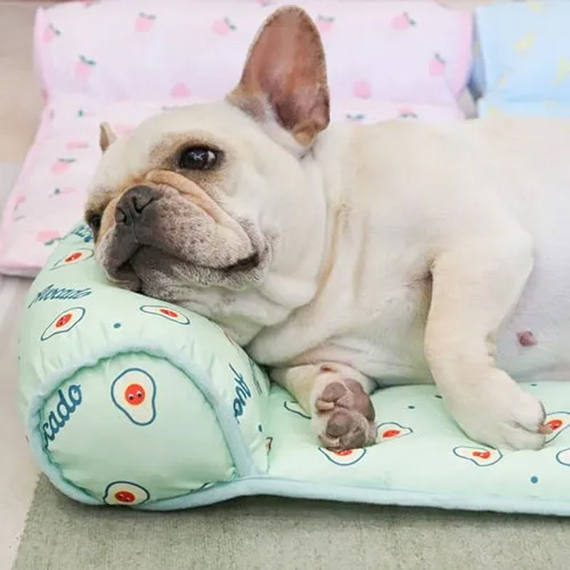CoolPetty™ | kølemåtte til hunde og katte
