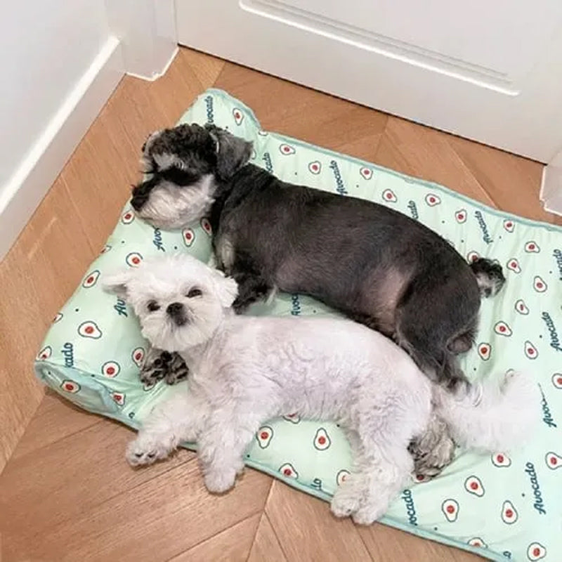 CoolPetty™ | kølemåtte til hunde og katte