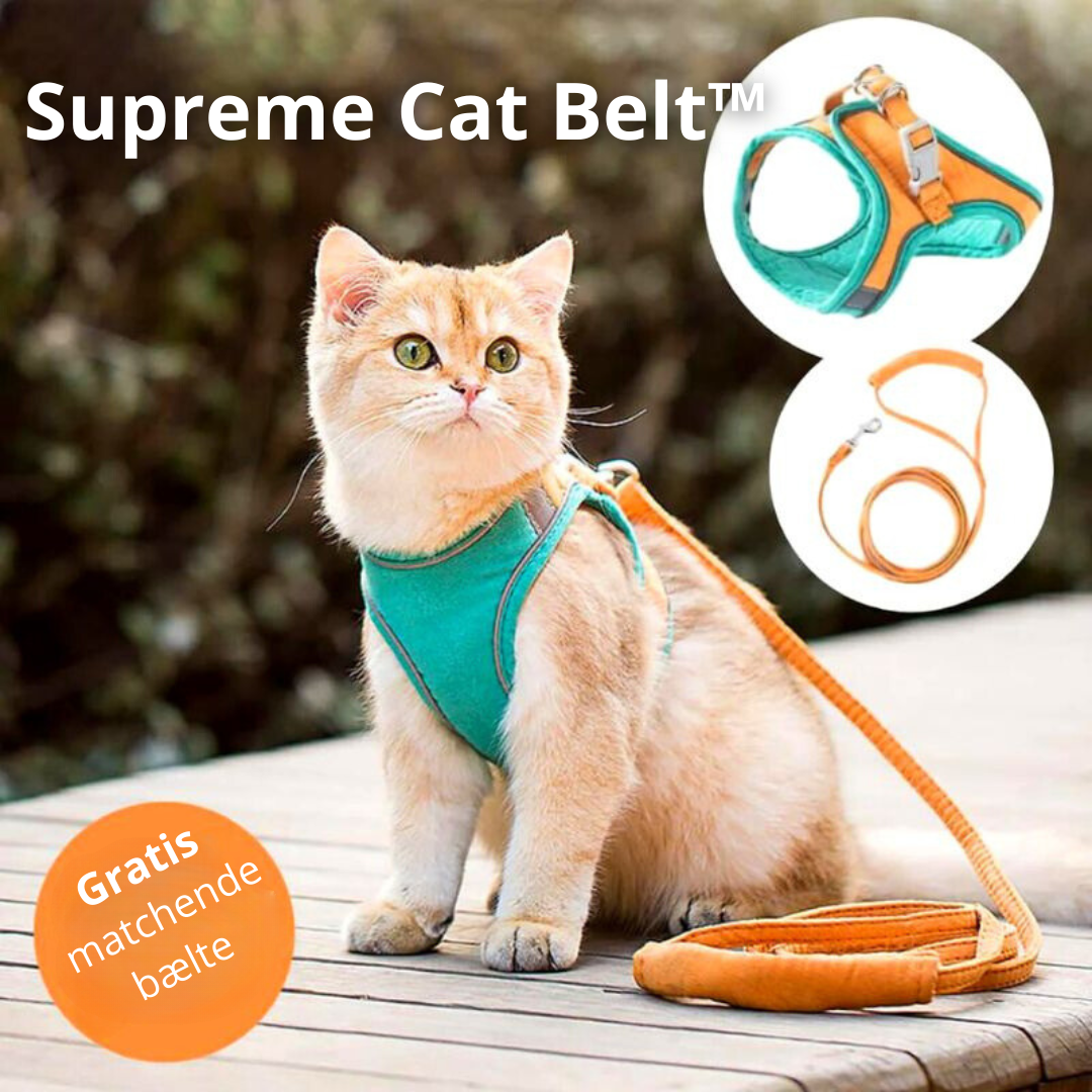 50% RABAT | Supreme Cat Belt™ - Blød og stilfuld kattesele! [Sidste dags rabat]