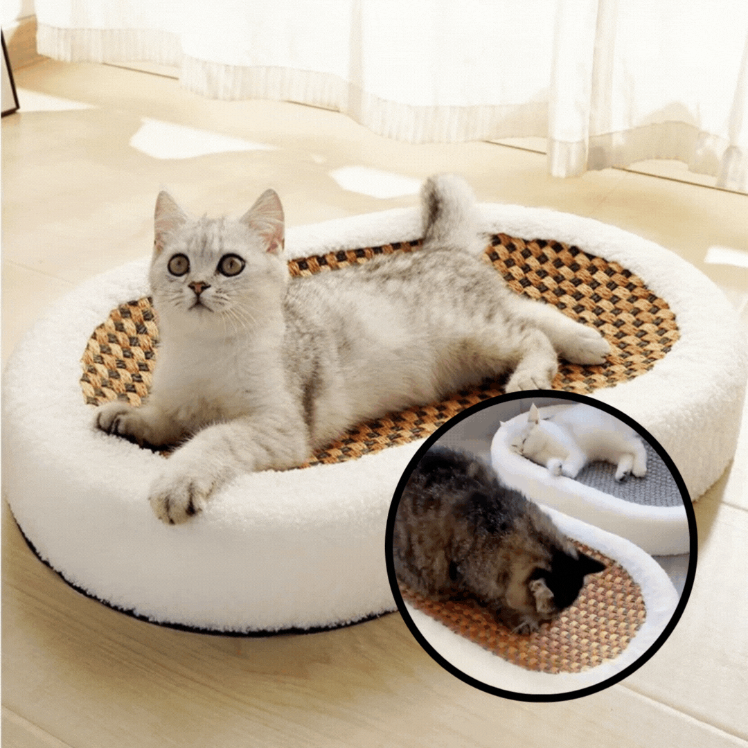 Cat Scratch Lounge™ - Plys katteseng med kradsbar overflade